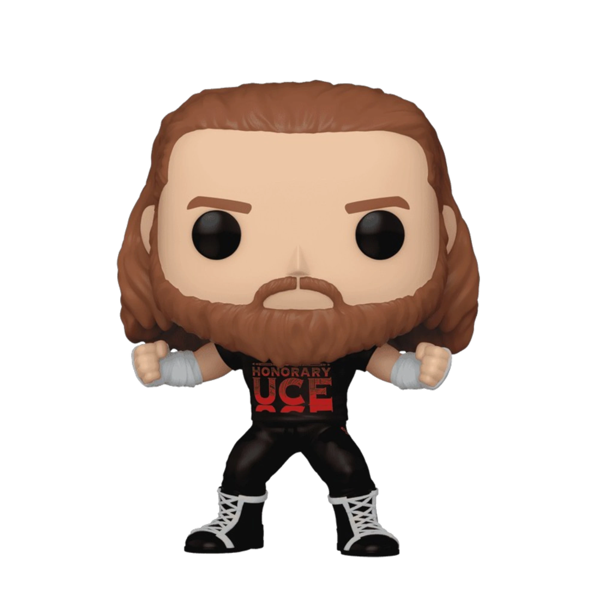WWE Sami Zayn