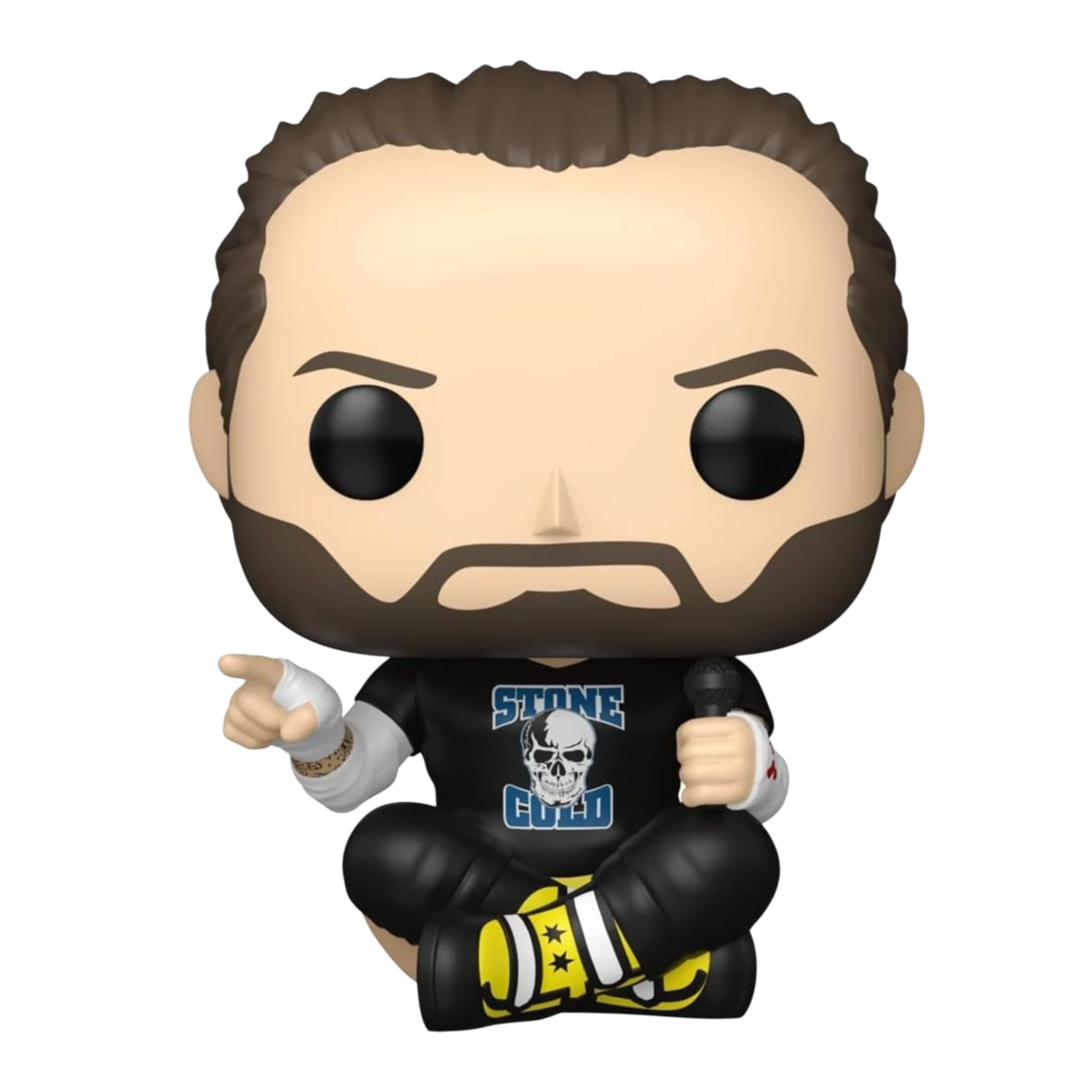 WWE: CM Punk